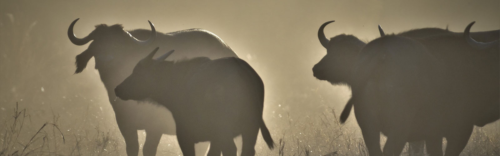 Tanzania Travel Destinations