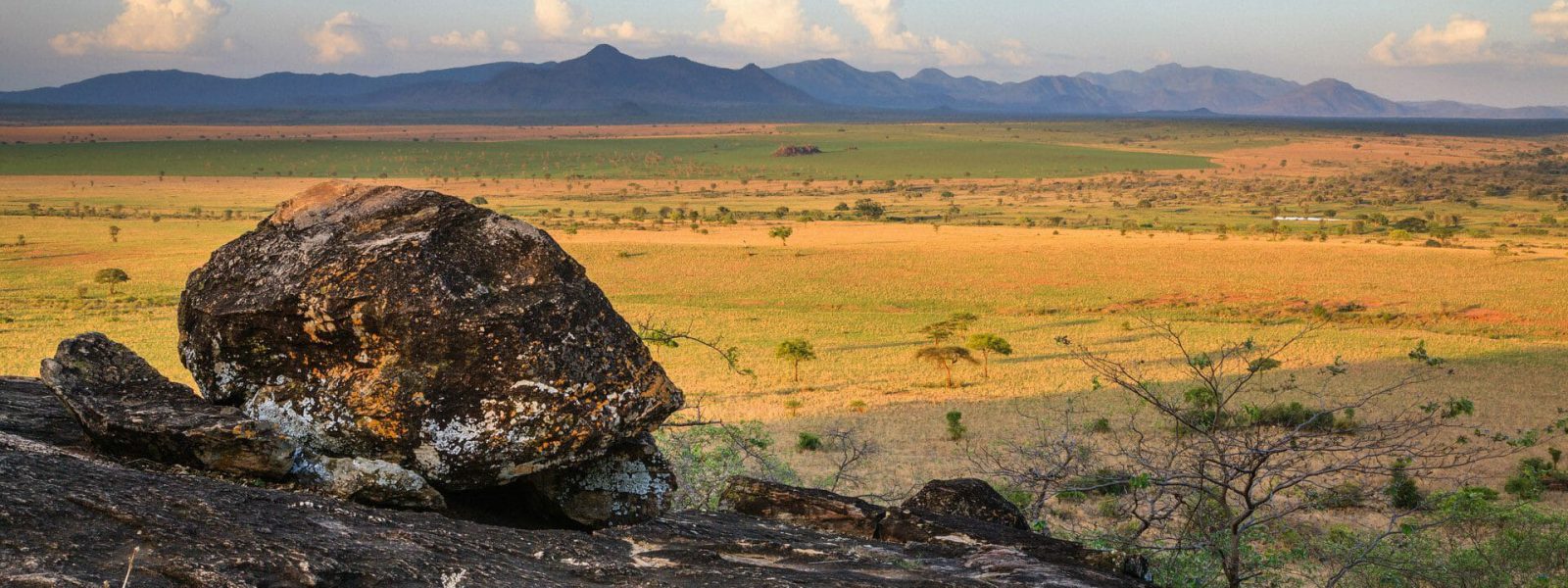 3 Days Kidepo Wildlife Safari
