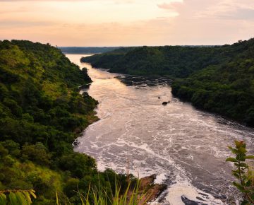 3 Days Murchison Falls Wildlife Safari